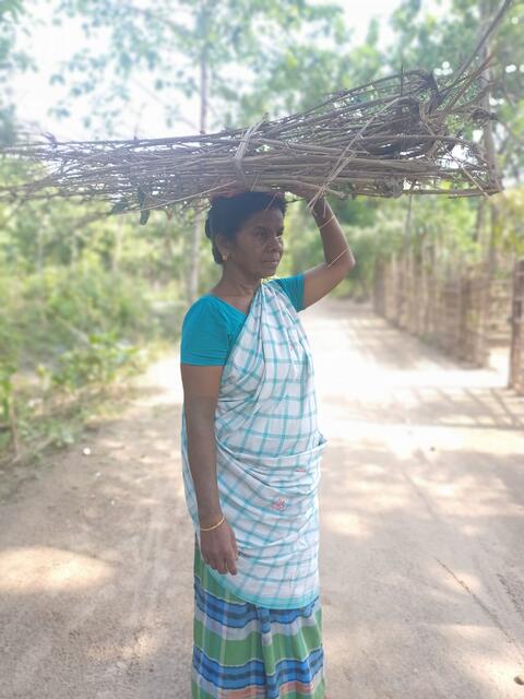 Sahan Dipil